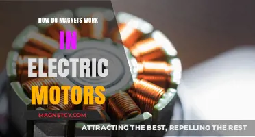 Exploring the Magnetic Magic Behind Electric Motor Efficiency