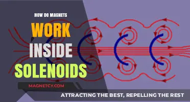 Exploring the Magnetic Mysteries Inside Solenoids