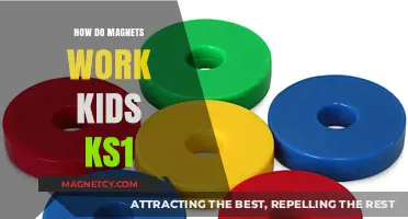 Exploring Magnet Magic: A Kid's Guide to How Magnets Work
