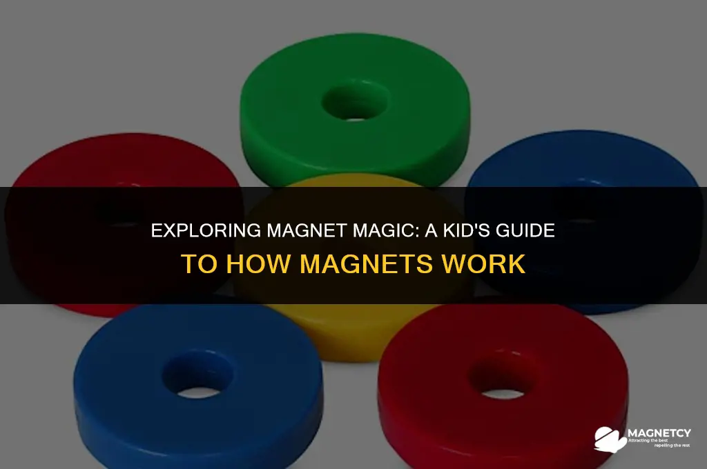 how do magnets work kids ks1
