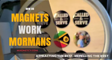Exploring the Science Behind Magnets and Their Uses in Mormon Culture