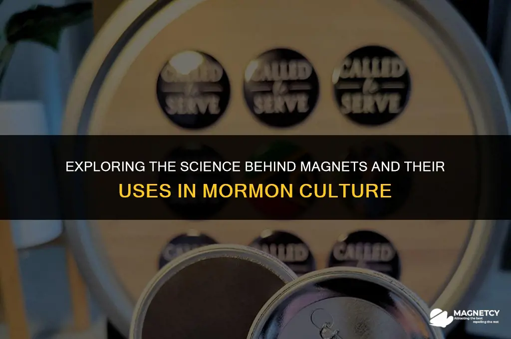 how do magnets work mormans