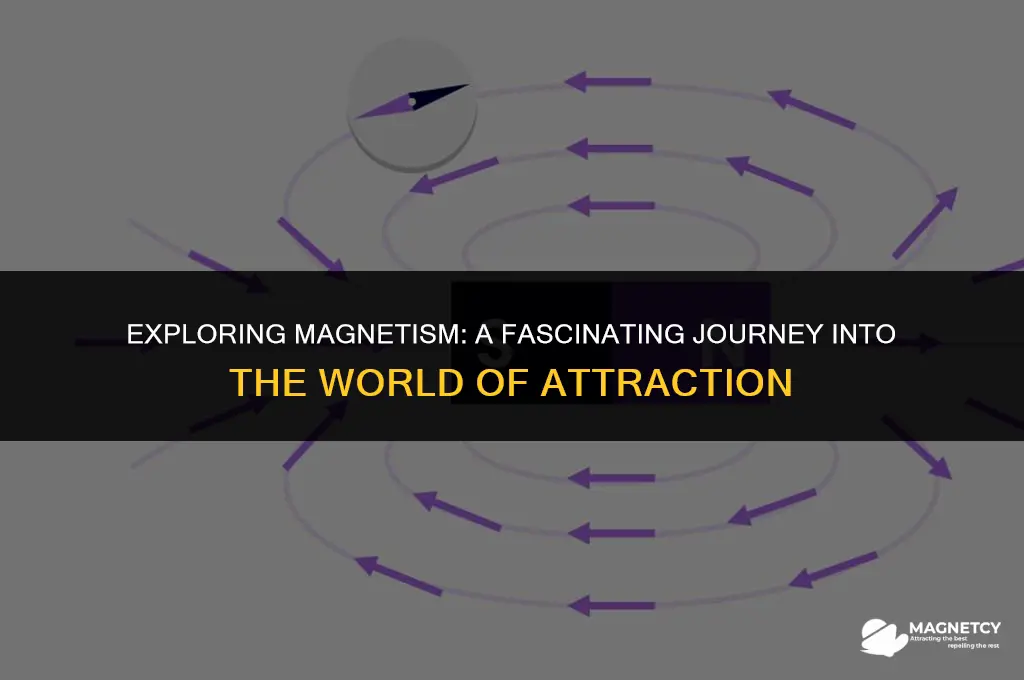 how do magnets work mormon chat
