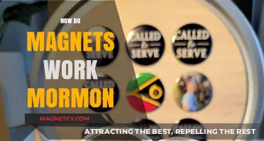 Exploring the Science Behind Magnets: A Mormon Perspective