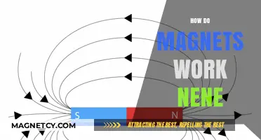 Exploring the Mysterious World of Magnets: How They Work