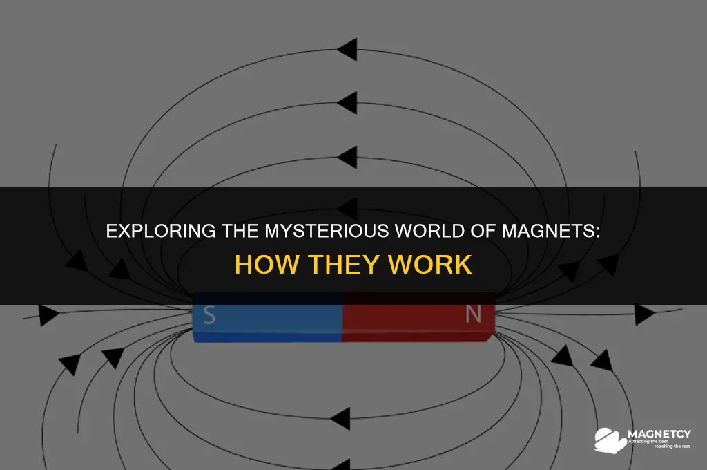 how do magnets work nene