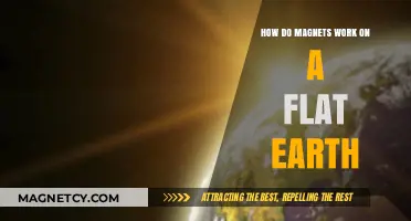 Exploring Magnetism: A Flat Earth Perspective
