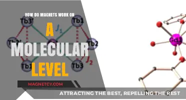 Unlocking the Mysteries: How Magnets Work on a Molecular Level