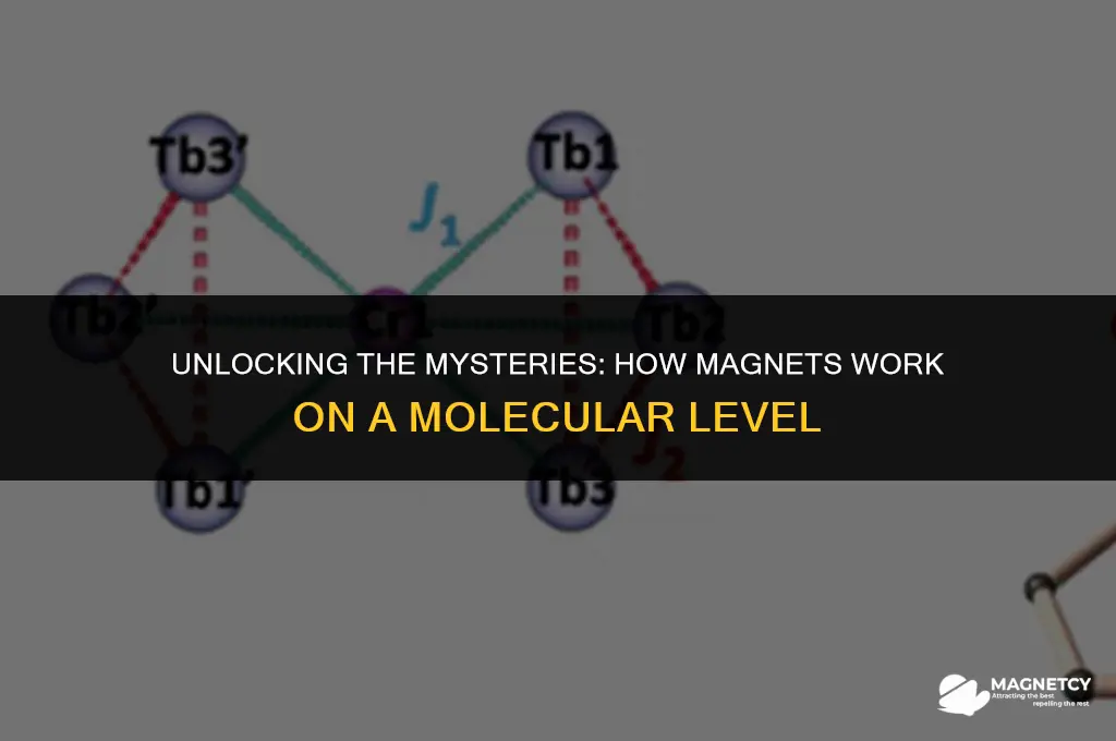 how do magnets work on a molecular level