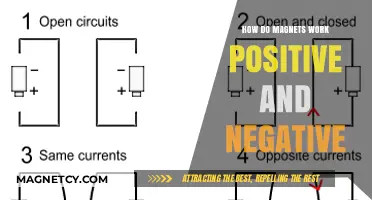 Exploring Magnetism: The Intriguing Dance of Positives and Negatives