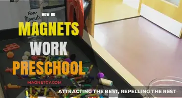 Exploring Magnet Magic: A Preschool Guide to How Magnets Work