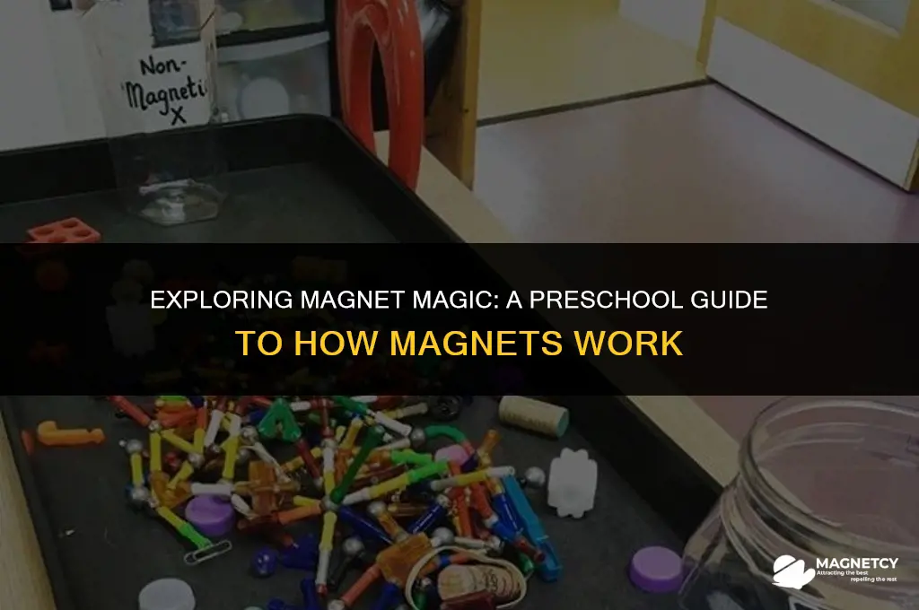 how do magnets work preschool