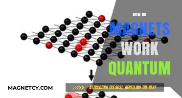 Unveiling the Quantum Mysteries: How Magnets Work at the Atomic Level