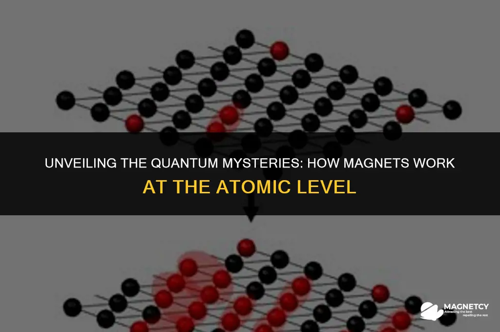 how do magnets work quantum