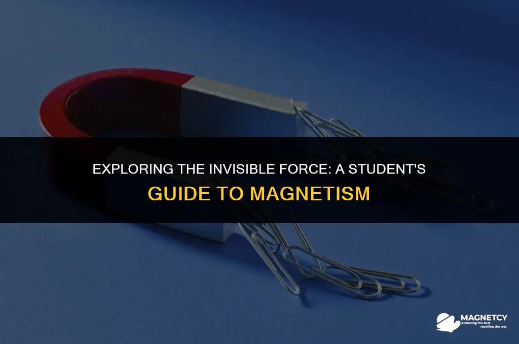 how do magnets work science fair project