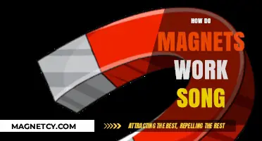 Exploring the Science Behind Magnetism: A Catchy Tune Unveiled