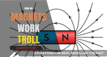 Unraveling the Mysteries: How Magnets Work and the Science Behind Them