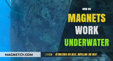 Exploring the Depths: How Magnets Function Underwater