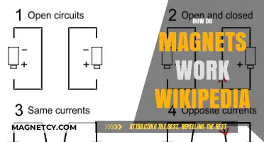 Exploring the Mysteries of Magnetism: A Wikipedia Journey