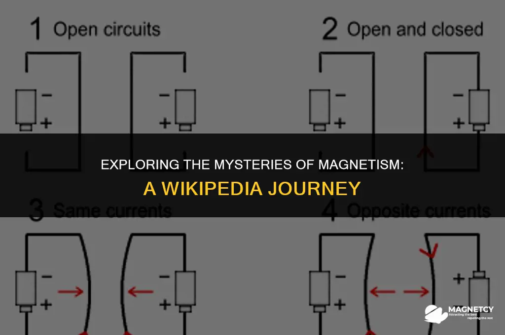 how do magnets work wikipedia