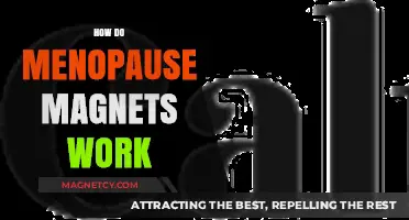 Understanding Menopause Magnets: Do They Really Work?