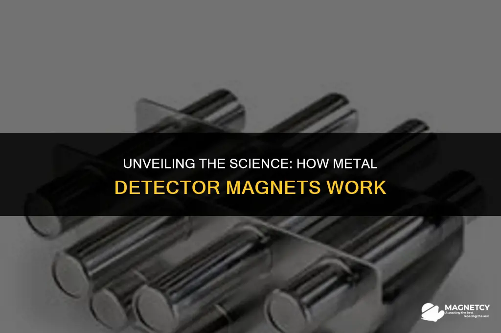 how do metal detector magnets work