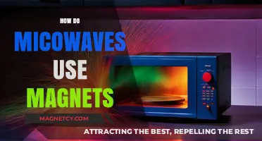 Microwaves and Magnets: Unveiling the Science Behind Their Interaction