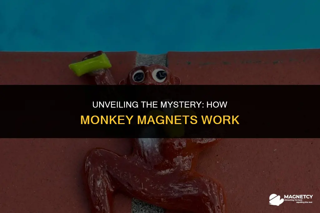 how do monkey magnets work