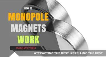 Exploring the Mysteries of Monopole Magnets: A Comprehensive Guide