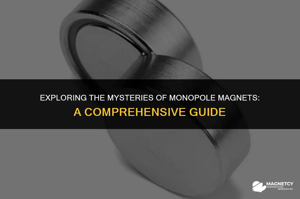 how do monopole magnets work