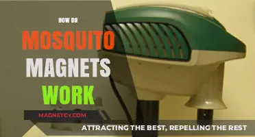 Unveiling the Mystery: How Mosquito Magnets Attract and Trap Pesky Insects