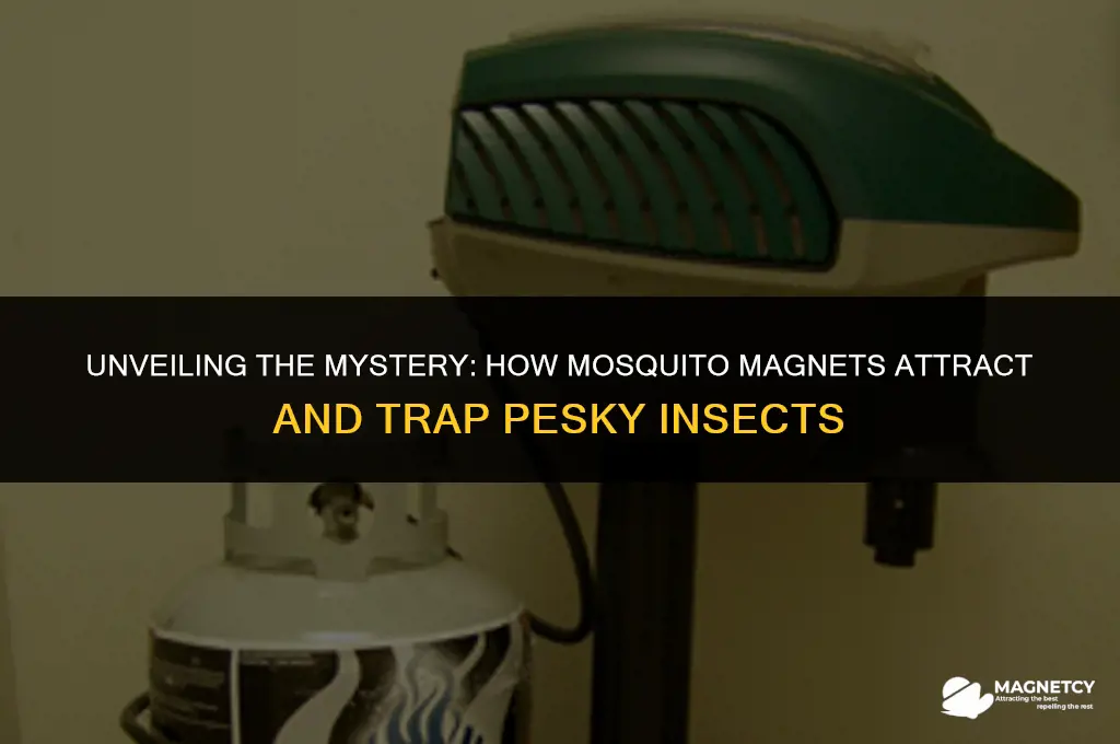 how do mosquito magnets work