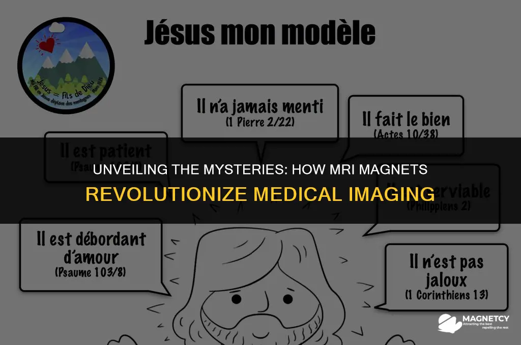 how do mri magnets work