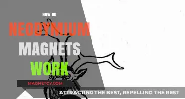 Exploring the Science Behind Neodymium Magnets: A Comprehensive Guide