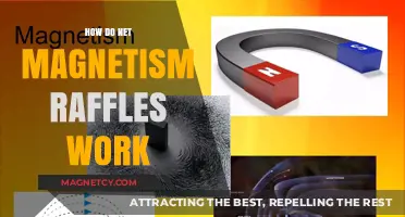 Unraveling the Mystery: How Net Magnetism Raffles Operate