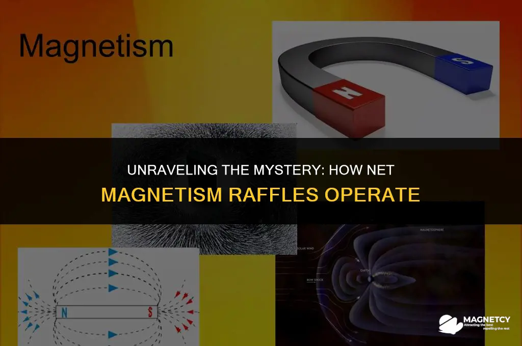 how do net magnetism raffles work