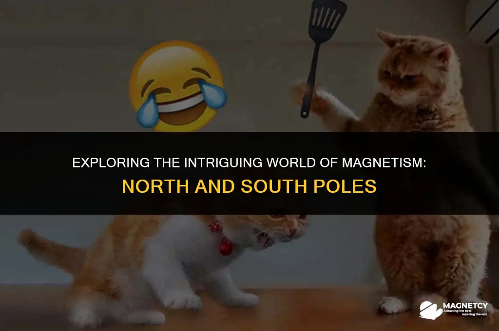 how do north and south magnets work
