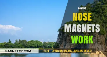 Exploring the Science Behind Nose Magnets: A Comprehensive Guide