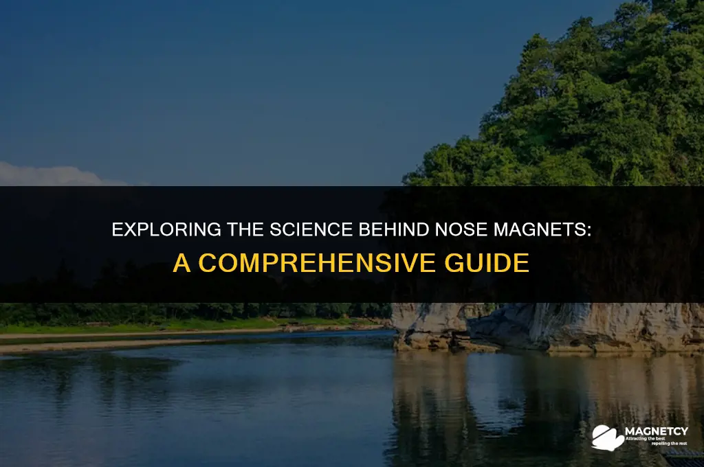 how do nose magnets work