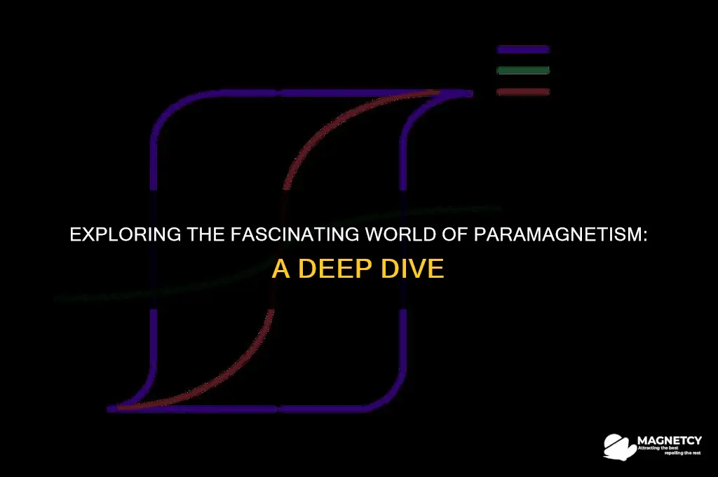 how do paramagnetic materials interact with an external magnetic field