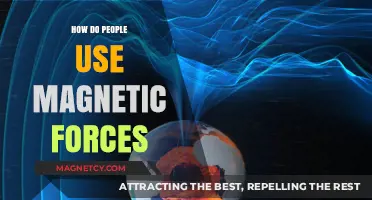 Harnessing Magnetic Forces: Creative Applications in Everyday Life and Technology