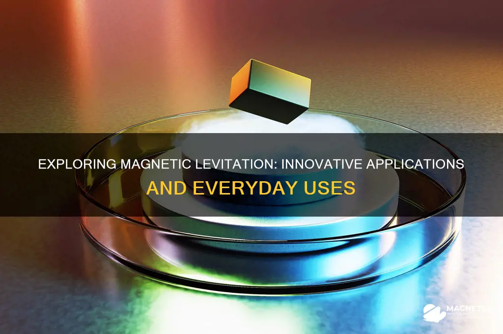 how do people use magnetic levitation
