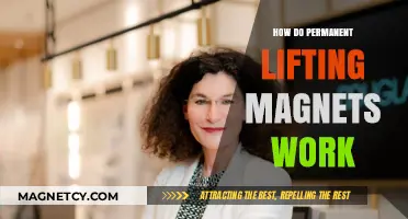 Exploring the Science Behind Permanent Lifting Magnets