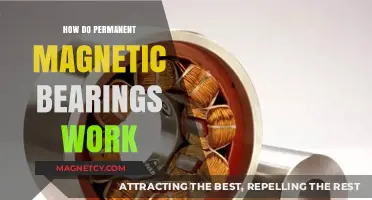 Exploring the Mechanics of Permanent Magnetic Bearings