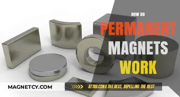 Exploring the Science Behind Permanent Magnets: A Comprehensive Guide