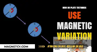 Magnetic Variation Unveils Plate Tectonics' Secrets and Earth's History