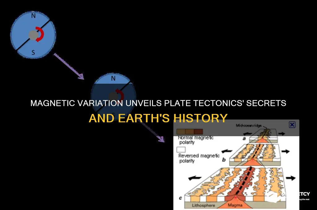 how do plate tectonics use magnetic variation