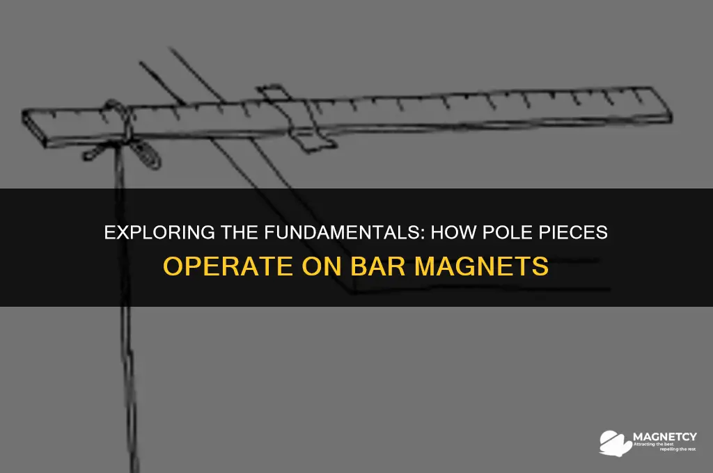 how do pole pieces work on bar magnets