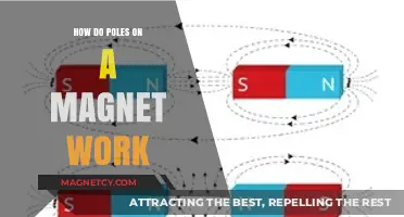 Exploring Magnetism: The Intriguing Function of Magnetic Poles
