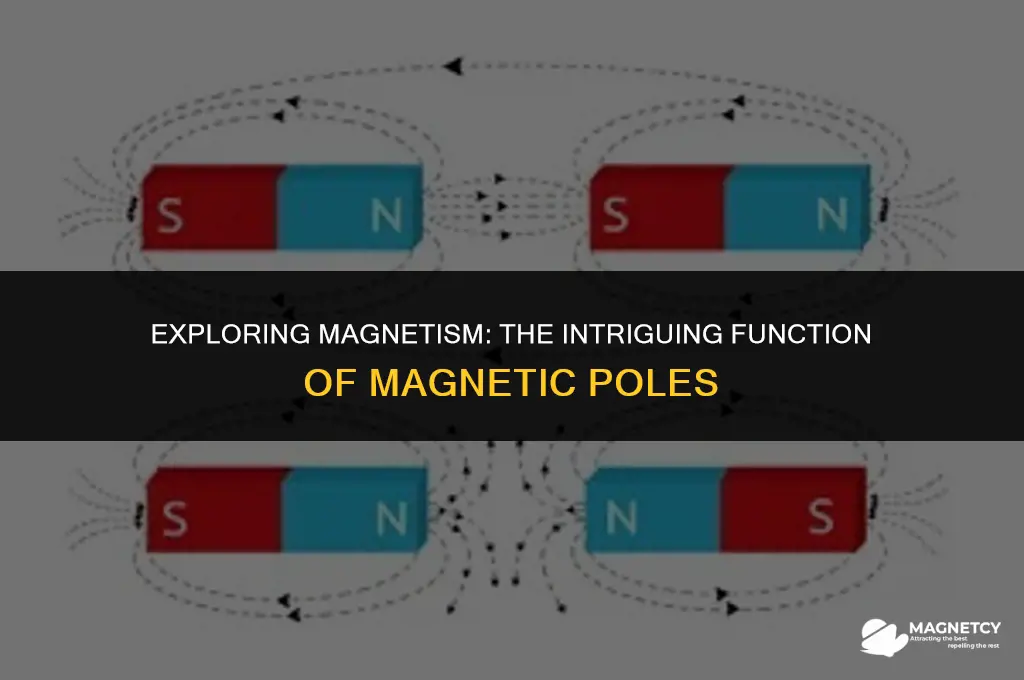 how do poles on a magnet work